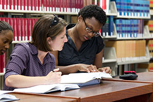 Students studying in a pair