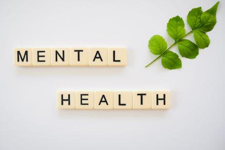 MENTAL HEALTH in game tiles with a sprig of green leaves